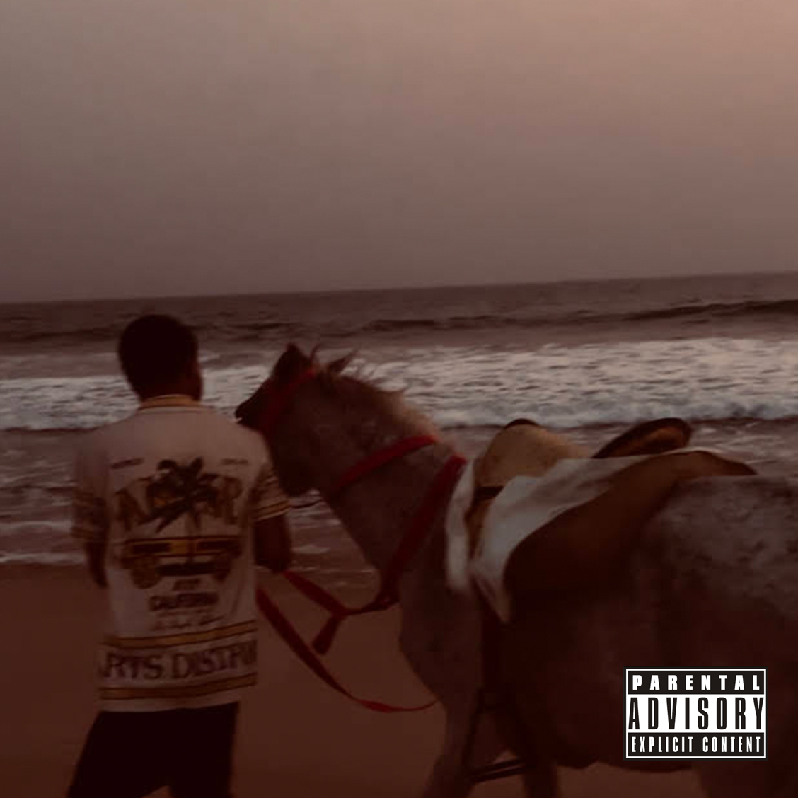 Liloraks Money & Love Cover Art