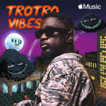 Trotro Vibes campaign Sarkodie
