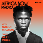Seyi Vibez Africa Now