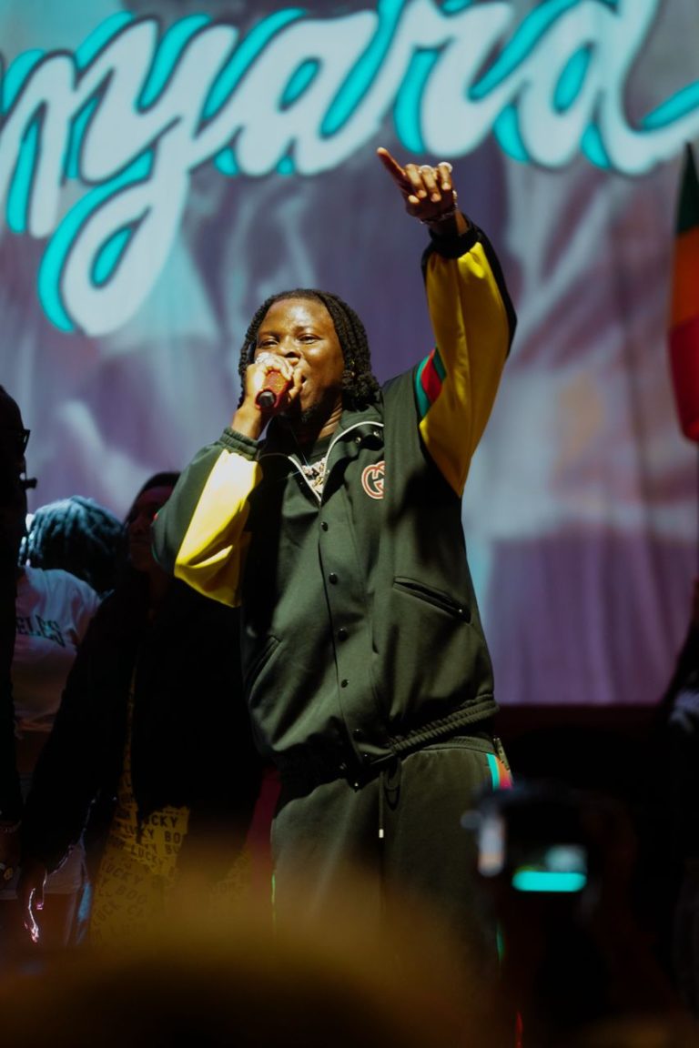 Stonebwoy Cali Vibes Festival