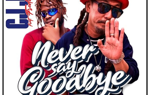 Never Say GoodBye Cover