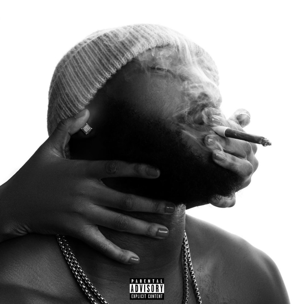 Teflon Flexx X Album Cover Art