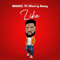 BiQSKIL Like ARt