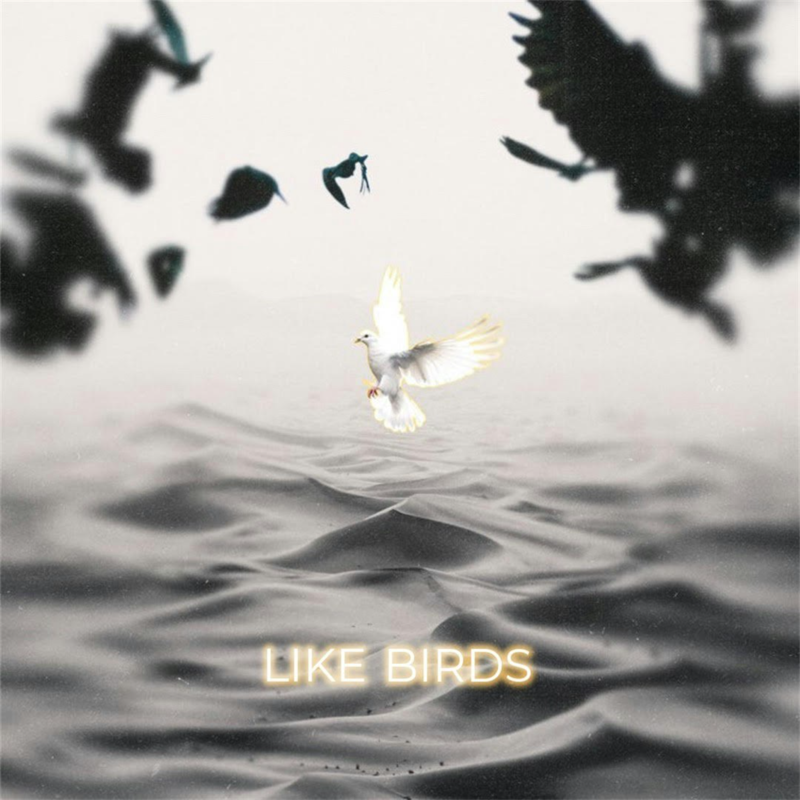 MIA Jai Rian Like Birds Art