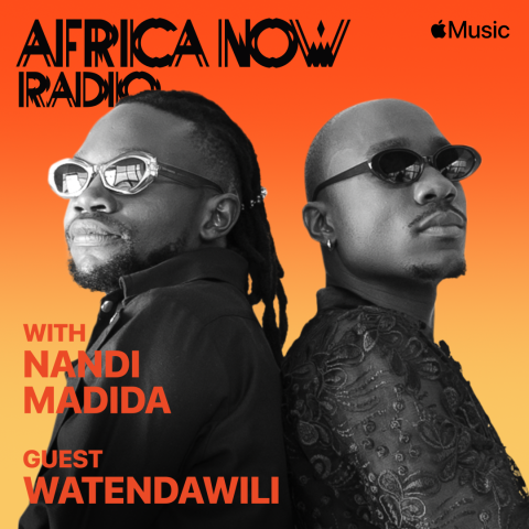 Watendawili Africa Now