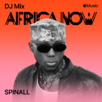 SPINALL Africa Now
