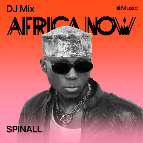 SPINALL Africa Now