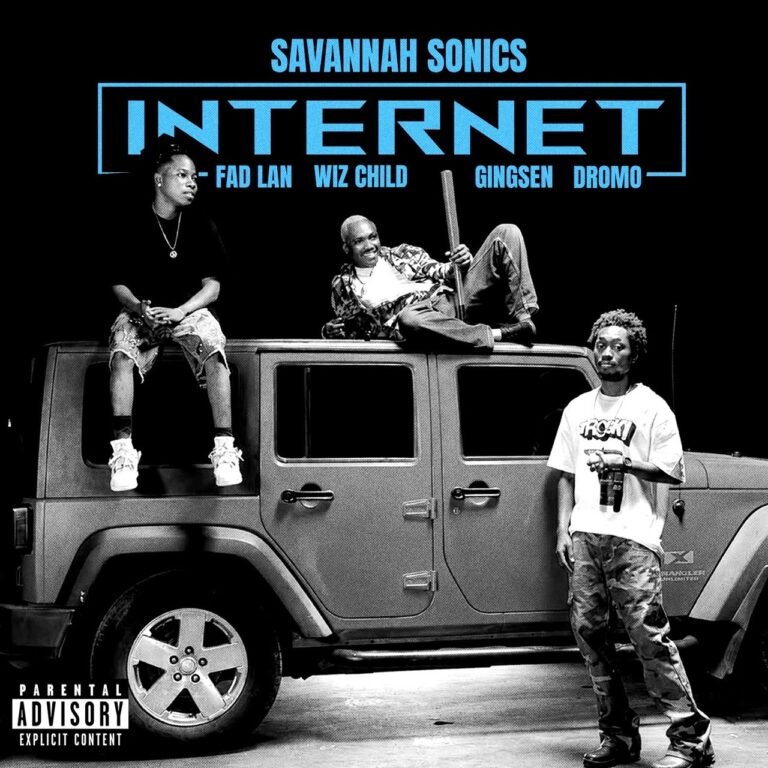 Savannah Sonics INTERNET